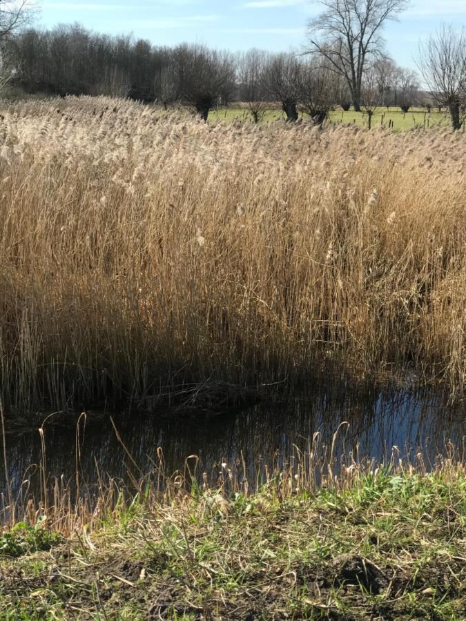 Familieverblijf De Groene Specht Sluis Esterno foto
